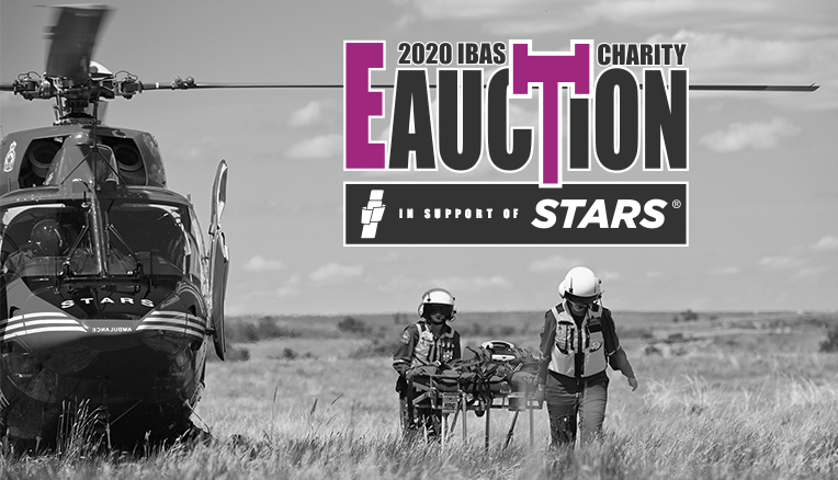2020 Charity e-Auction